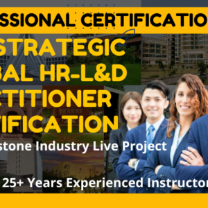 Strategic Global HR-L&D practitioner certification with capstone project